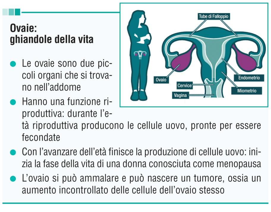 TUMORE OVARICO Scheda patologia LA NEOPLASIA FEMMINILE A PEGGIOR PROGNOSI NEL MONDO Il carcinoma ovarico è la neoplasia che colpisce le ovaie, cioè gli organi riproduttivi femminili situati nell