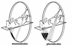 Questa evoluzione tecnologica è stata resa possibile dall introduzione della tecnologia a contatti striscianti (slip ring) per l alimentazione elettrica del tubo e dei detettori (negli apparecchi di