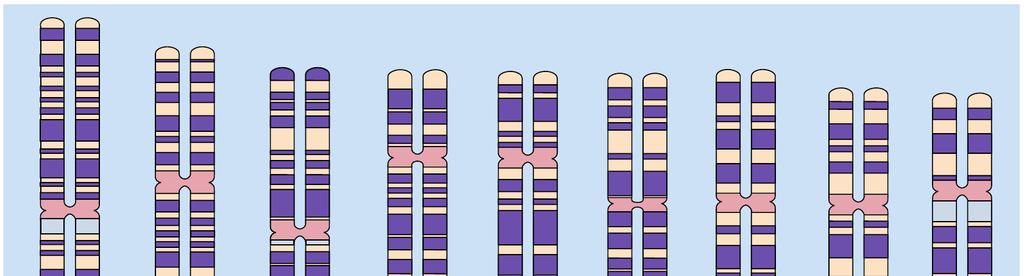 Il genoma umano 3,200