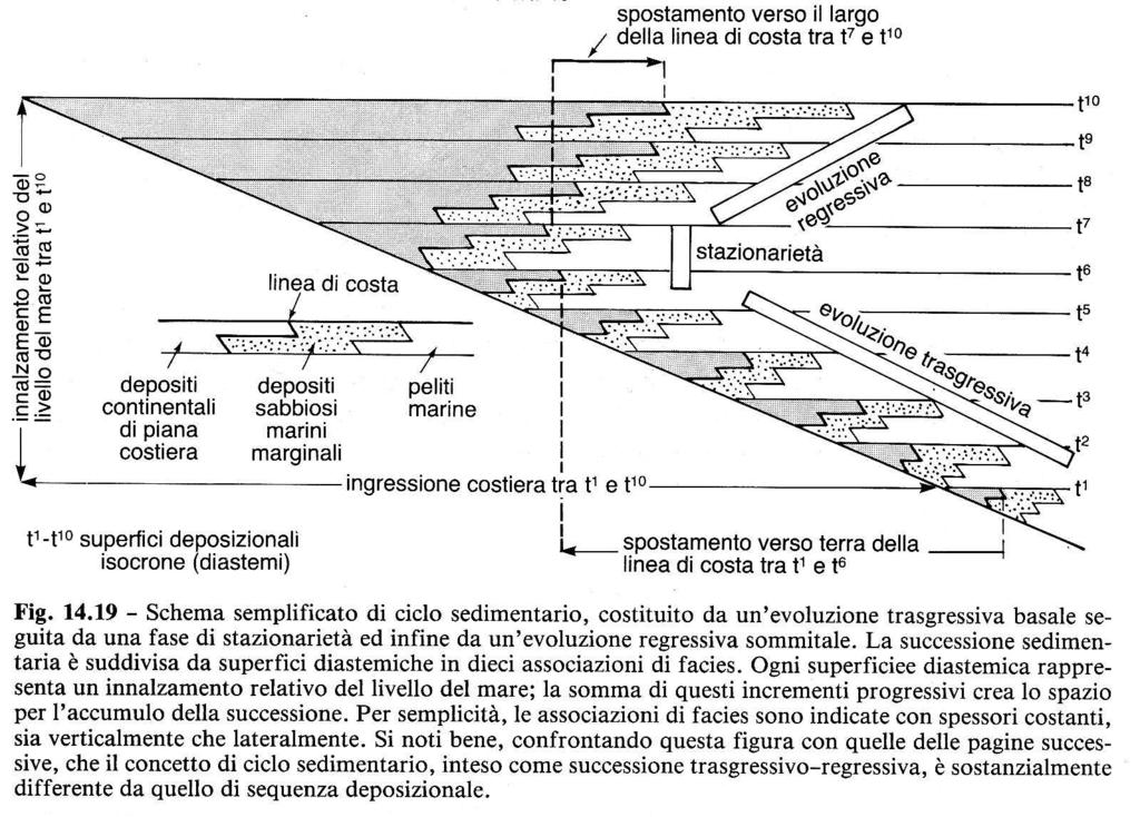 CICLI Si definisce ciclo di variazione relativo del livello marino il periodo di tempo rappresentato da una risalita e da una successiva caduta (si parla sempre di caduta e risalite relative) del