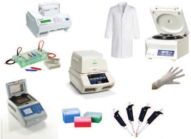 controlli negativo e positivo alla miscela di reazione (PCR o retro trascrizione).
