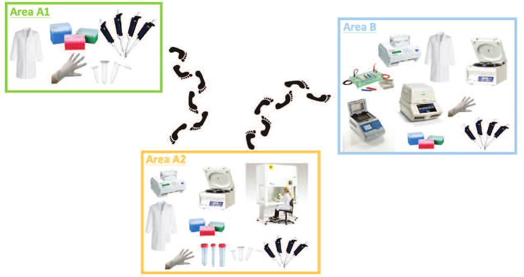 Fig. 7. Percorsi consigliati in un laboratorio di biologia molecolare.