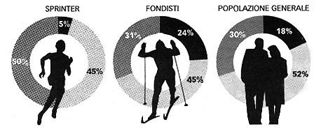 35 Senza actinina (XX) Con molta actinina (RR) Con una quota parziale di actinina (RX) Dalla ricerca è emerso (vedi figura sopra) che gli atleti di vertice negli sport di sprint sono dotati di una