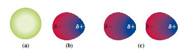 (4) LEGAME DIPOLO INDOTTO - DIPOLO INDOTTO Si instaura tra due molecole apolari (ma in generale su tutti i tipi di molecole, aggiungendosi a qualsiasi interazione dipolo-dipolo).
