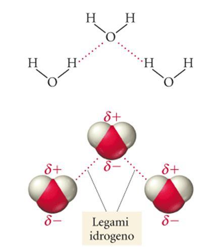 : LEGAME IDROGENO H F ----------H F --------- H F Il legame idrogeno è talmente forte da predominare su