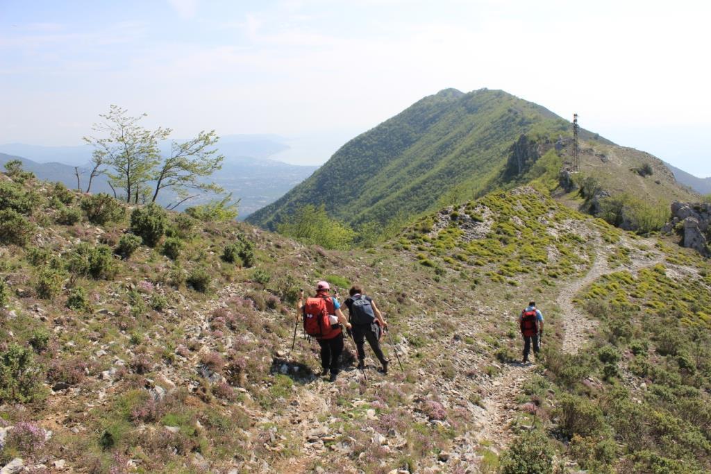 Si continua fino al colle (14 km dal posteggio piloncino 5 della Sv44), dove si