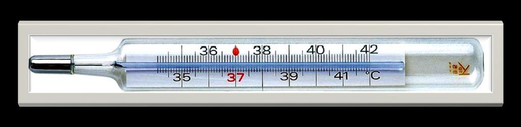 Misurare la La si misura con il termometro Il termometro a mercurio è un termoscopio L unità di misura della è il
