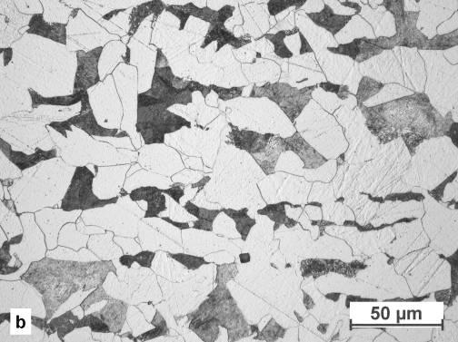 Esame in microscopia ottica Le indagini metallografiche sono state condotte dopo attacco chimico del campione [5].