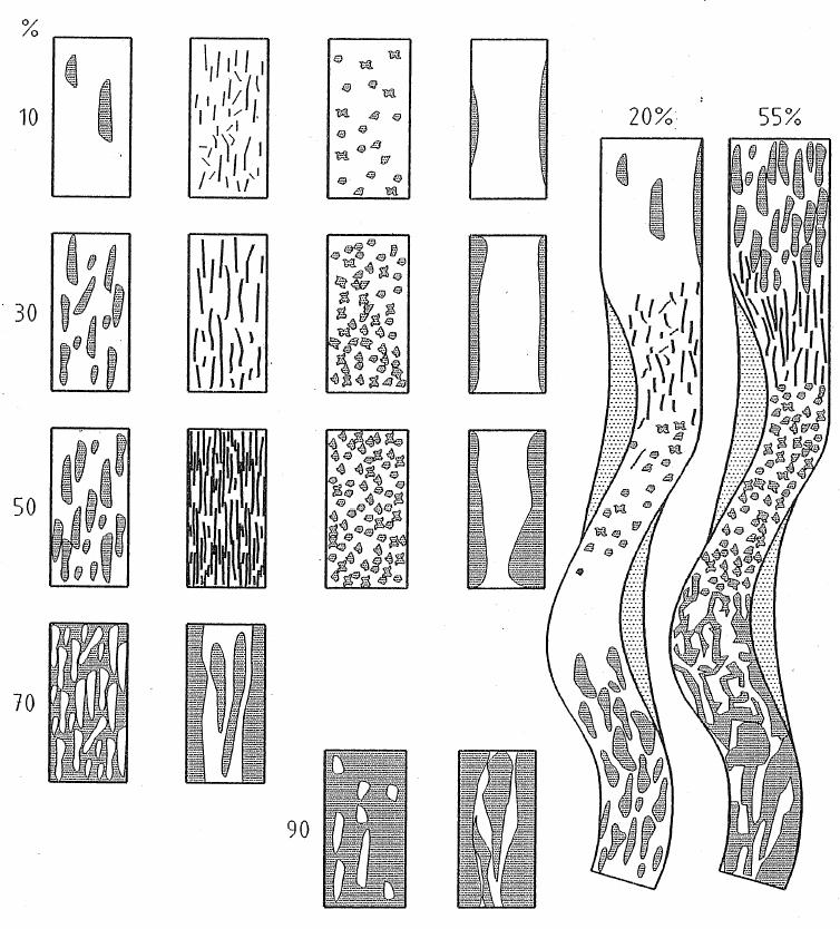 Il rilievo per l applicazione degli Indici Macrofitici Si effettua il rilievo della copertura/abbondanza della comunità indicatrice rispetto alla superficie dell alveo bagnato (area indagata).