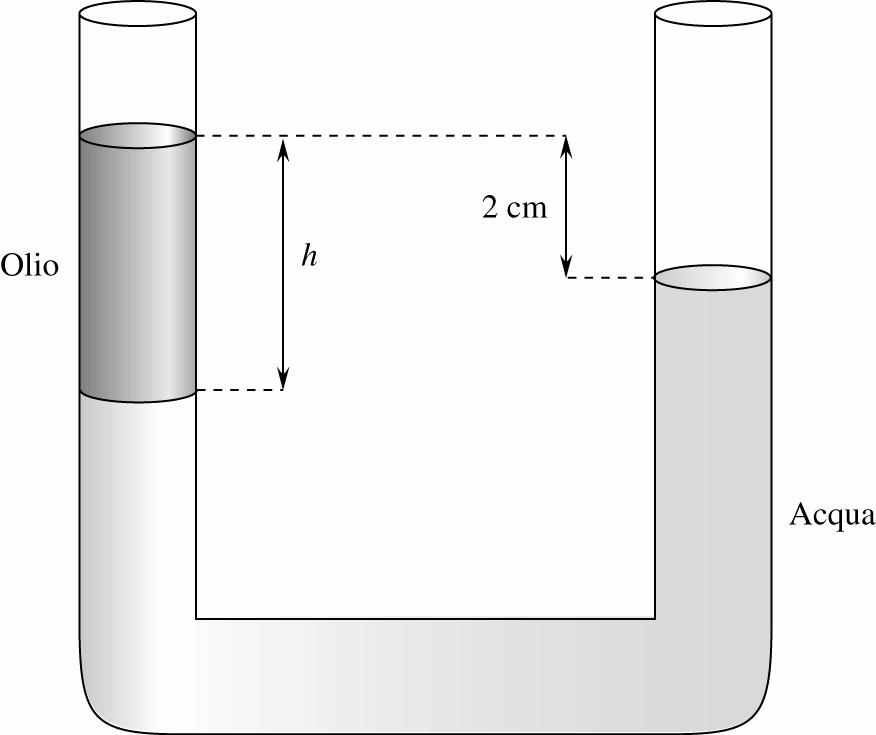 I fluidi 1 Per misurare pressioni relativamente basse, in un barometro anziché mercurio è utilizzato olio di densità 8,5 10 2 kg/m 3.