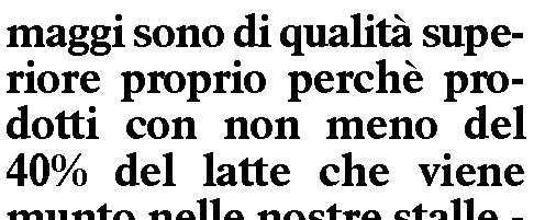 Quotidiano