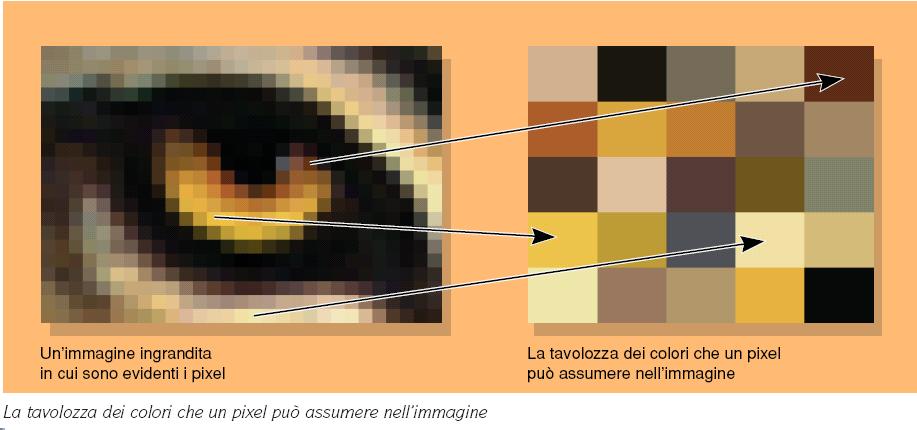 Palette Tavolozza dei colori (palette): in un immagine indica quali colori possono essere assegnati ad un pixel dà la corrispondenza tra un numero