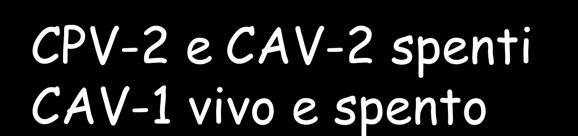 VACCINAZIONE DI RICHIAMO Dopo il primo