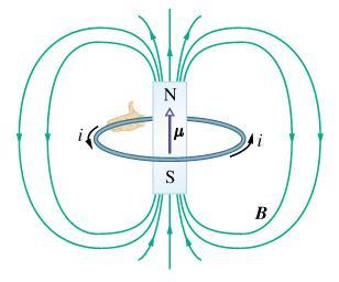 Bobina dipolo magnetico legge di Biot e Savart: r