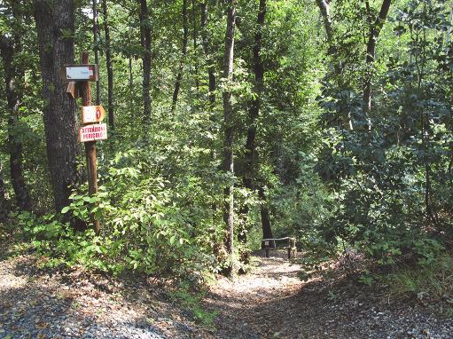 NATURALE-ESTETICO VEDUTE PANORAMICHE: RAPPORTO TRA