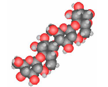 ellulosa è un polimero non ramificato di glucosio legato con legami 1-4 beta glicosidici Le macromolecole lineari (circa 5000 unità) si aggregano formando fibrille associate tramite legami a idrogeno