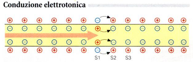 Significatofunzionaledella mielina isolamento elettrico(lipidi) aumentodella velocitàdi conduzionedell impulso