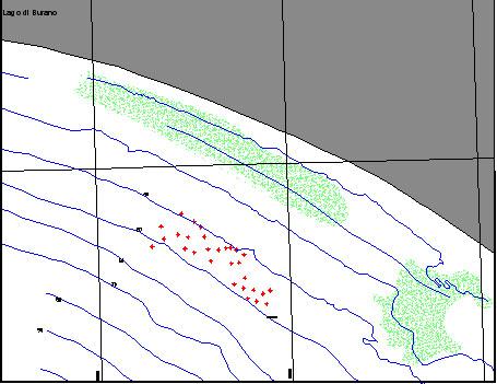 In generale nelle carote recuperate nella Zona A1 Ansedonia è possibile distinguere le seguenti unità: un intervallo superiore di spessore massimo di circa 50 cm, costituito da sedimenti pelitici di