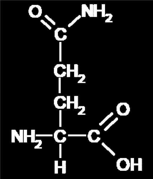 GLUTAMMINA È il principale prodotto finale del metabolismo amminoacidico muscolare.