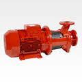 Le pompe di compenso / mantenimento (Jockey pump) Le pompe di compenso sono tipicamente elettropompe (centrifughe orizzontali, multistadio verticali o sommerse) a bassa portata (inferiore a quella