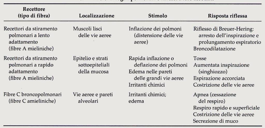 Afferenze sensoriali: I meccanocettori G.