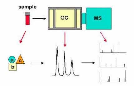 La GC-MS è una tecnica analitica molto potente in quanto permette di separare i