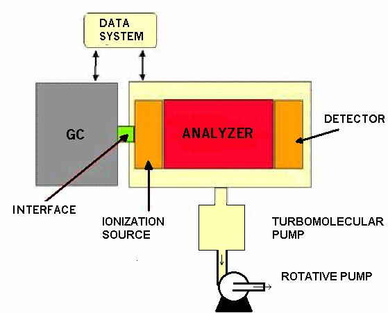 Schematicamente un GC-MS può essere suddiviso in una parte costituita dal gas-cromatografo e nel rivelatore di massa.