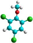 2,4,6-tricloroanisolo (TCA) 2 2,4,6-triclorofenolo (TCP) 3 2,3,6 TCA 4 2,3,4 TCA 5 Pentacloroanisolo (PCA) 2 4 Colonna capillare DB-5MS J&W (30m, 0,25 mm d.