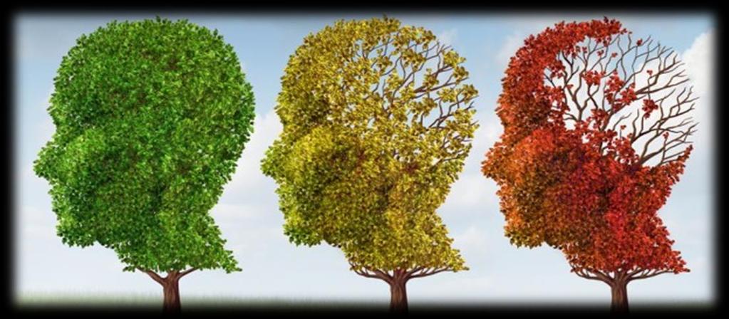 Insorgenza Tardiva Morbo di Alzheimer Progressiva