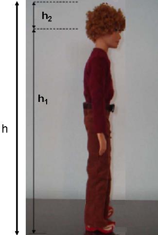 Esempio: Si consideri una persona alta h con gli occhi distanti h 2 dalla sommità della testa e posta alla distanza