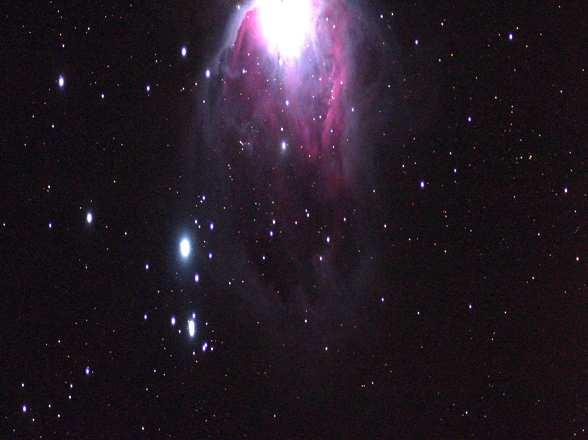 concentrano lungo i bracci) M42 - Nebulosa di