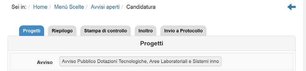 3.1 Progetti In questa sezione, tutti gli utenti scolastici abilitati a tale scopo sono chiamati ad inserire le informazioni del/dei progetto/i per cui si intende presentare formale candidatura.