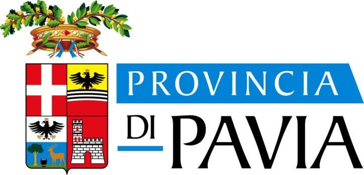 IL MERCATO DEL LAVORO IN PROVINCIA DI PAVIA Elisabetta POZZI