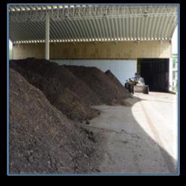 Valorizzazione del Biogas con