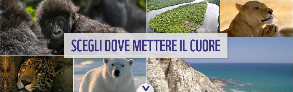 Nel 1992, il WWF collaborò con il Parco Nazionale d Abruzzo per la messa a dimora di centinaia di piante da frutto per limitare la dispersione degli orsi in aree non protette e tentare di ridurre il