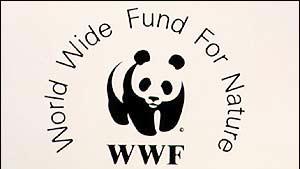 SIN DAI PRIMI ANNI 60 L L associazione venne costituita nel 1961 come World Wildlife Fund (letteralmente fondo mondiale per la vita selvatica, intesa come natura ) su iniziativa di Julian Huxley, cui