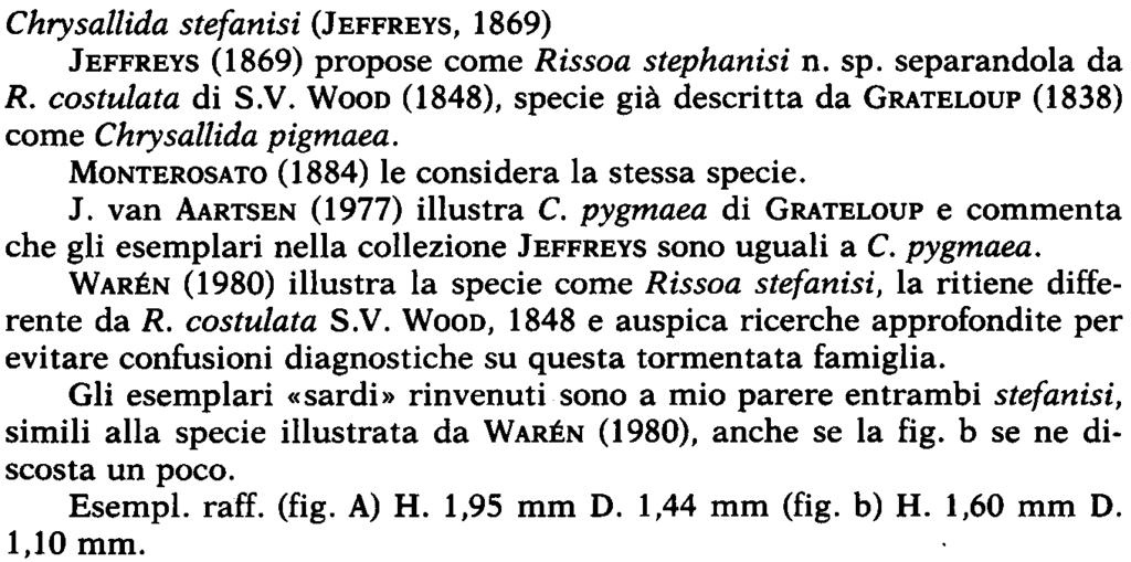 1,4 mm Chrysalltda stefanisi Chrysallida stefanisi (JEFFREYS, 1869) JEFFREYS (1869) propose come Rissoa stephanisi n. sp. separandola da R. costulata di S.V.
