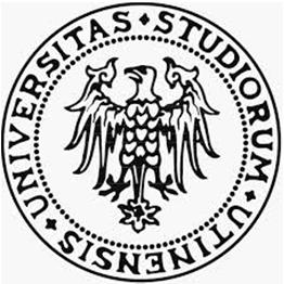 Università di Udine DIEG Dipartimento di Ingegneria Elettrica, Gestionale e
