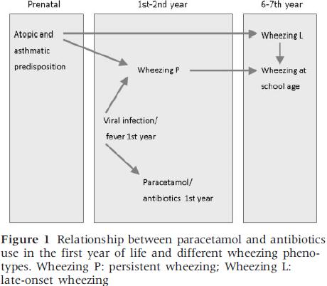 00315-2015 Published 3 December 2015 In conclusion, the association between prenatal antibiotic exposure and infant wheezing could be largely explained by confounding factors, in