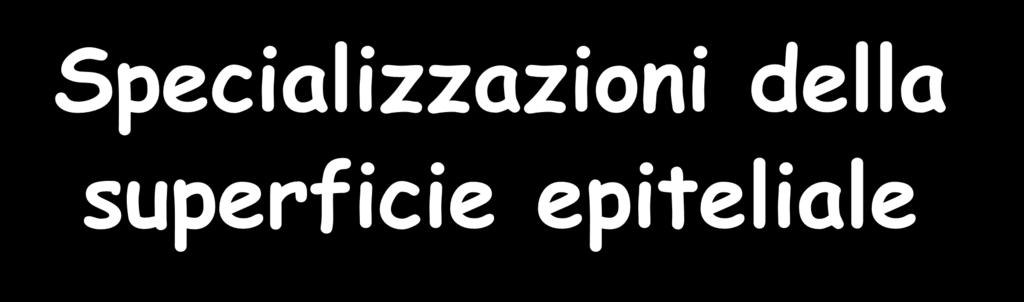 Specializzazioni