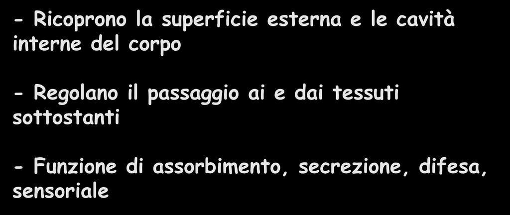 Epiteli di rivestimento - Ricoprono la superficie esterna e le cavità interne del corpo - Regolano