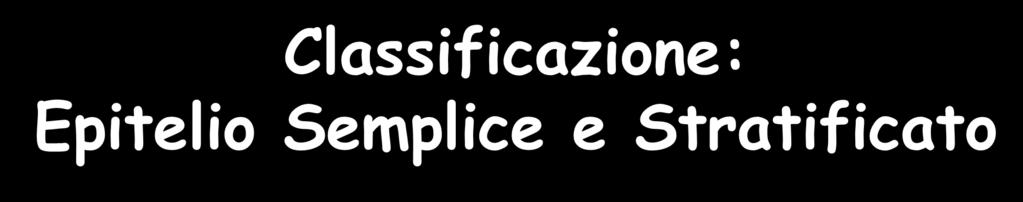 Classificazione: Epitelio Semplice e Stratificato Semplice Uno strato di cellule Tutte le cellule sono a contatto