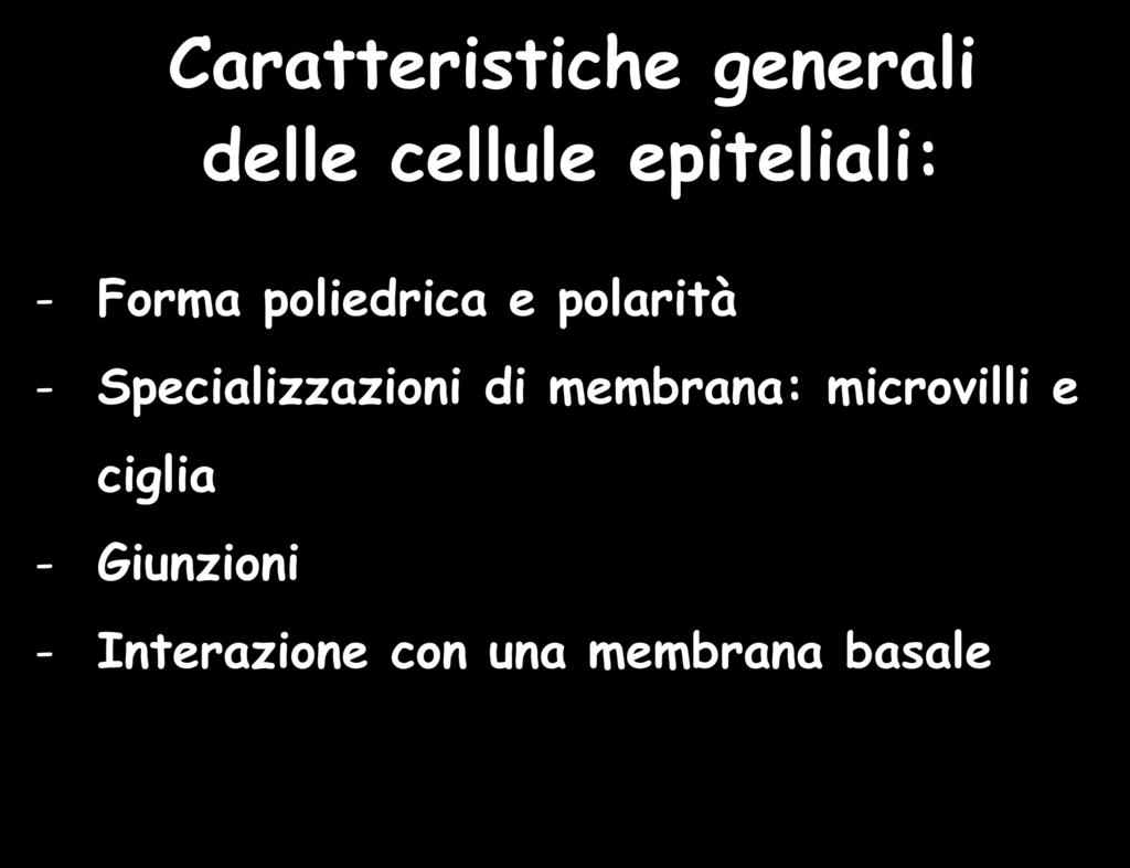 Caratteristiche generali delle cellule epiteliali: - Forma poliedrica e polarità -