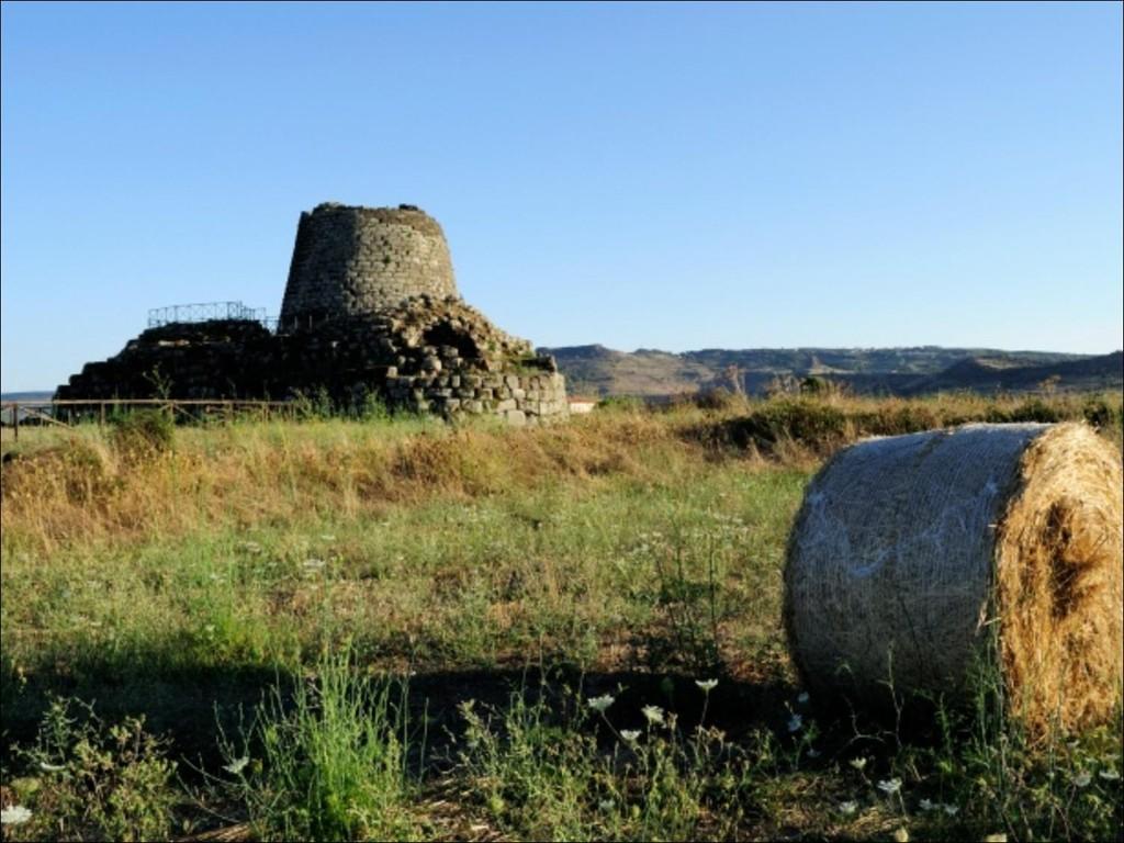 Il Capitale agrario