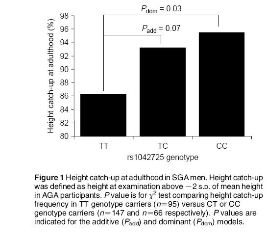 SGA men carrying at least one C allele copy of rs1042725 show an