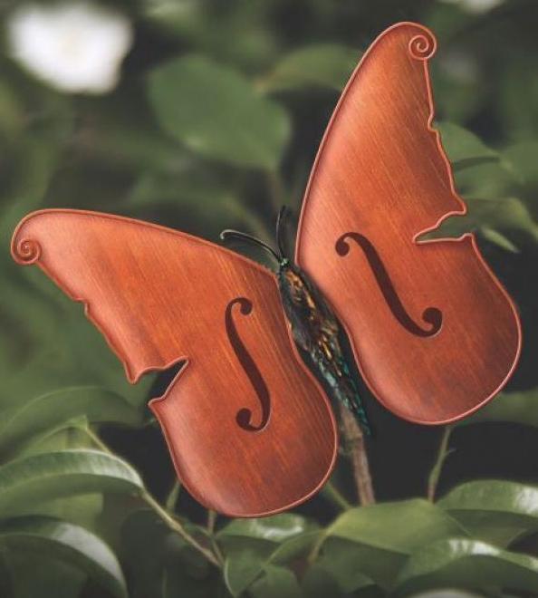 CONCERTO SPIRITUALE PELLEGRINAGGIO IN MUSICA UN VIAGGIO ATTRAVERSO SUONI E PAROLE DEDICATO ALLE APPARIZIONI MARIANE NEL MONDO con la violinista e voce narrante Saule Kilaite e il quartetto d archi