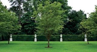 5A VREGTUB - 16MV PM TSV-16 Microtubo VJM TSM TP-16 TPR-3E KIT - 2 - ALBERI Irrigazione di 2 alberi con VISA REG Kit per l irrigazione di alberi.