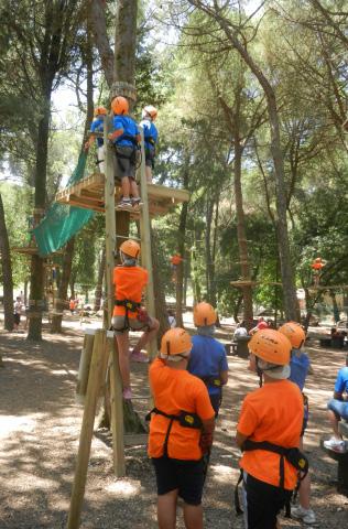 Adatti a bambini e ragazzi dagli 8 anni in su e da 120 cm di altezza: qui l aspetto prevalente è rappresentato dalle attività che i ragazzi svolgono sui percorsi acrobatici tra gli alberi, dove l