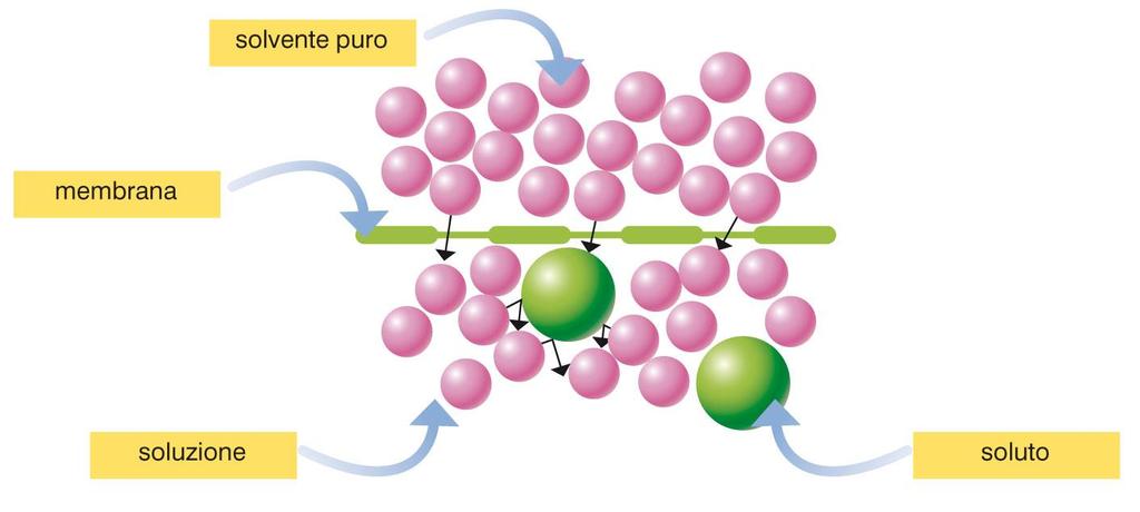 7. Osmosi e pressione osmotica L osmosi è il flusso di un solvente che