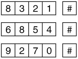 HAA85WP CARATTERISTICHE E FUNZIONAMENTO 10. ESEMPIO DI UTILIZZO DELLA TASTIERA 1) Per comandare i relé dell Output 1, 2 e 3 digitare il relativo codice, quindi premere il tasto #.